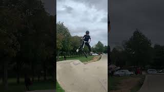 Double whip mini ramps