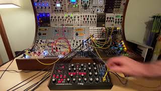 Moog Subharmonicon Experimental Music