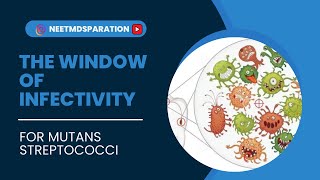 Crucial Period : The Window of Infectivity in Paediatric Dentistry || #dentistry #neetmdspreparation