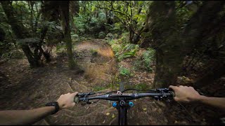 Big Trail Gaps and TIGHT times in the forest - Rotorua MTB