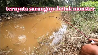 Spot kebun sawit ternyata betoknya monster monster/mancing betok monster