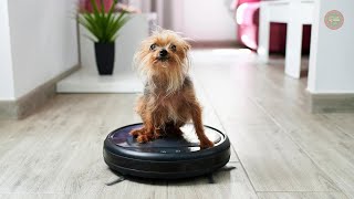 Best Robot Vacuum For Pet Hair 2023 - Top 5 Robot Vacuums