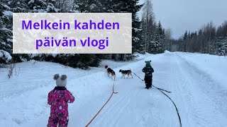 Ollut vähän matalaliitoo tää viikko | Kahden päivän ARKIVLOG