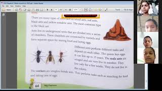 About Social Insects from Chapter 6 of EVS Of Class 5 | Live Class by Deepmala Mam