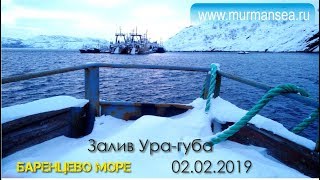 Залив Ура губа, Баренцево море  02 февраля 2019г  Мурманские морские рыбалки