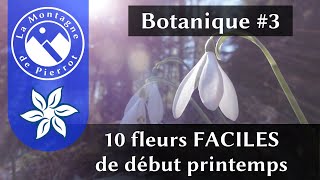 BOTANIQUE #3 - Reconnaître 10 fleurs faciles de début de printemps