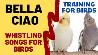 Bella Ciao with whistle - whistling song for birds, cockatiels, parrots