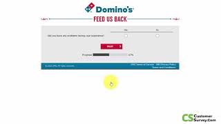 Domino's Pizza Survey | 2023