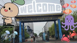 JALAN KE MUARA ANGKE LEWAT PANTAI INDAH KAPUK 1