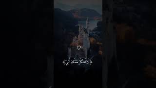 القاري ماهر المعيقلي  - سوره البقره