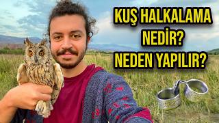 KUŞLARA KİMLİK TAKIYORUZ! KUŞ HALKALAMA NEDİR?