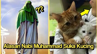 Subhanallah! Ini Alasan Mengapa Nabi Muhammad SAW Menyayangi dan Mencintai Kucing