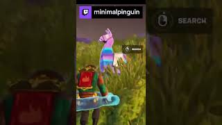 Lama pinata party!