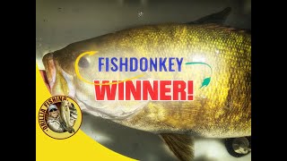 Winner of the 2019 Online Bass Tournament