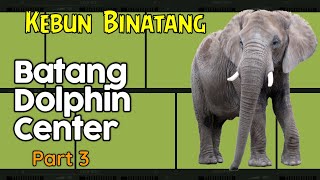 Part 3 Menikmati Batang Dolphin Center | Unit Taman Safari Indonesia #zoo #gajah