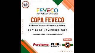 COPA FEVECO Categoria Destete, Preinfantil e Infantil DOS 26 -11-2022