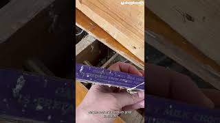 Mum Finds 100-Year-Old Dairy Milk Bar Under Floorboards || Dogtooth Media