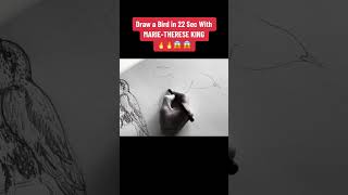 Draw a bird in 22 sec with Marie-Therese King 🔥 🔥