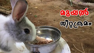 Rabbit feeding formula|മുയൽ തീറ്റക്രമം|rabbit farming|CJ Farm