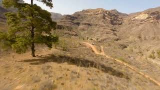 Barranco de la Data  (San Bartolomé de Tirajana, Gran Canaria)