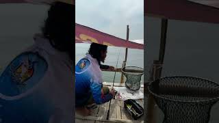 Menangkap ikan dengan serokan #mancing #ikan #mancingmania #fishing #shortvideo #vidioshort #shorts