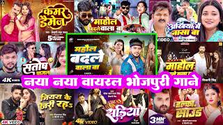 माहौल बदले वाला बा 🔥#Golu Gold   #Ritesh Pandey   Nonstop #Bhojpuri Song   Kamar Kare Lach    Sadiya