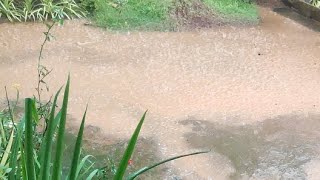 Heavy Rain. Relaxing Sound