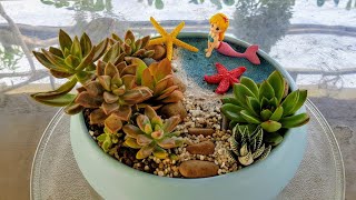 Succulent Terrarium - I Love The Sea - Tiểu Cảnh Sen Đá, Chủ Đề Tôi Yêu Biển