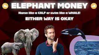 ELEPHANT MONEY – Understand the Mechanics and Follow the Money (LEARN how to EARN like a WHALE)