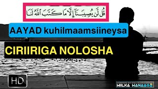 Aayad kuhilmaamsiin doonta ciriiriga nolosha|#wiilka_wanaaga