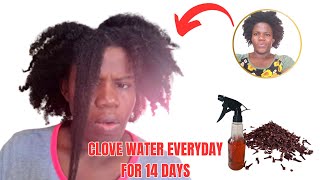 I'M STILL SHOCKED! I tried Cloves on my hair for 2 Weeks and this happened | I used rosemary my hair