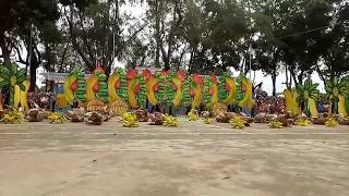 Sagingan Festival 2017 - Brgy. Malingao (2nd Placer)