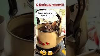 С Добрым утром!Отличного дня!