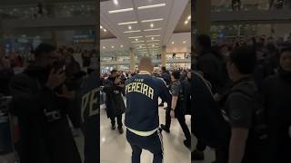 Alex Pereira’s Epic Arrival: Thousands Crowd South Korea Airport