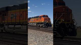 BNSF 5869 25th Anniversary unit in Belen, NM leading grain train #shorts #bnsf #5869