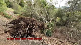 Our Road is Falling Apart in the Santa Cruz Mountains (March `23 Storm Damage)