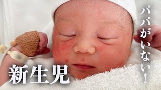 遠くにいるパパへ、、、、僕生まれたよ！【新生児】