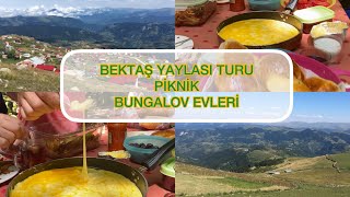 🌲Bektaş Yaylası🪵Piknik🏕️Bungalov Geziyoruz #vlog #vlogger #günlükvlog #giresun #piknik #yayla