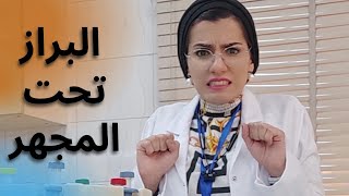 تحليل البراز تحت المجهر ( الخروج - الستول) ، الجزء3 stool analysis