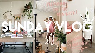 Sunday vlog | planning for the new week, cleaning + new plant stand