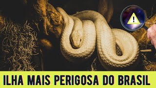 ILHA DAS COBRAS EM SÃO PAULO - O PARAÍSO PROIBIDO