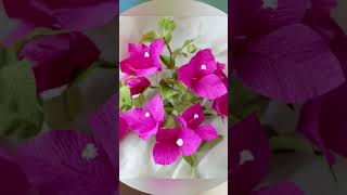 Top 10 Permanent Flower Vines for Balcony||बालकनी में लगायी जाने सदाबहार फूलोँ की बेलें