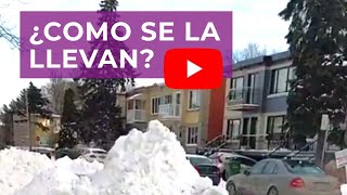 🤔Después de la nevada SE LLEVAN LA NIEVE ❄️. Te lo muestro 👍 Montreal - Canadá