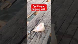 mancing di Bagan Tanjung kait #shorts #mancingdibagan #tanjungkait #fypmancing #hobimancing