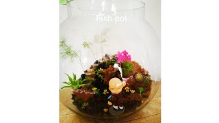 Making terrarium with fish pot