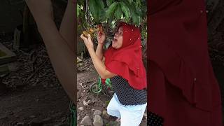 Buah sewaktu mama kecil #short