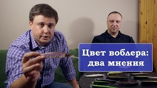 Какого цвета уловистый воблер для щуки? Два мнения