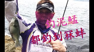 【香港釣魚】《釣泥鯭都釣到冧蚌》