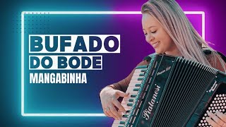 BUFADO DO BODE - MANGABINHA (Jucéli Borsoi)