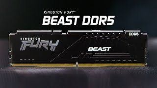 Память DDR5 с частотой до 5200 МГц — Kingston FURY Beast DDR5